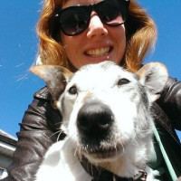 Lisa Corcoran profile picture